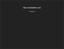 Tablet Screenshot of cushladillon.com
